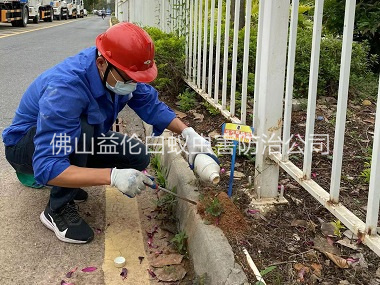 狮山红火蚁防治工程