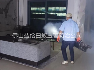 盐步室内灭蚊虫工程